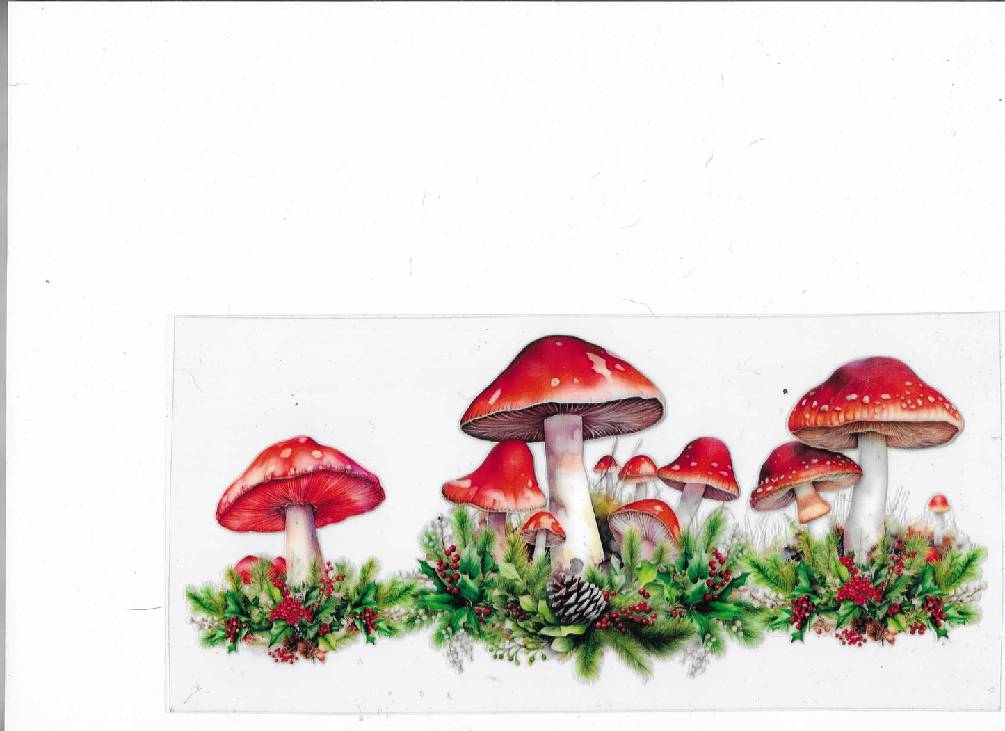 Mushrooms