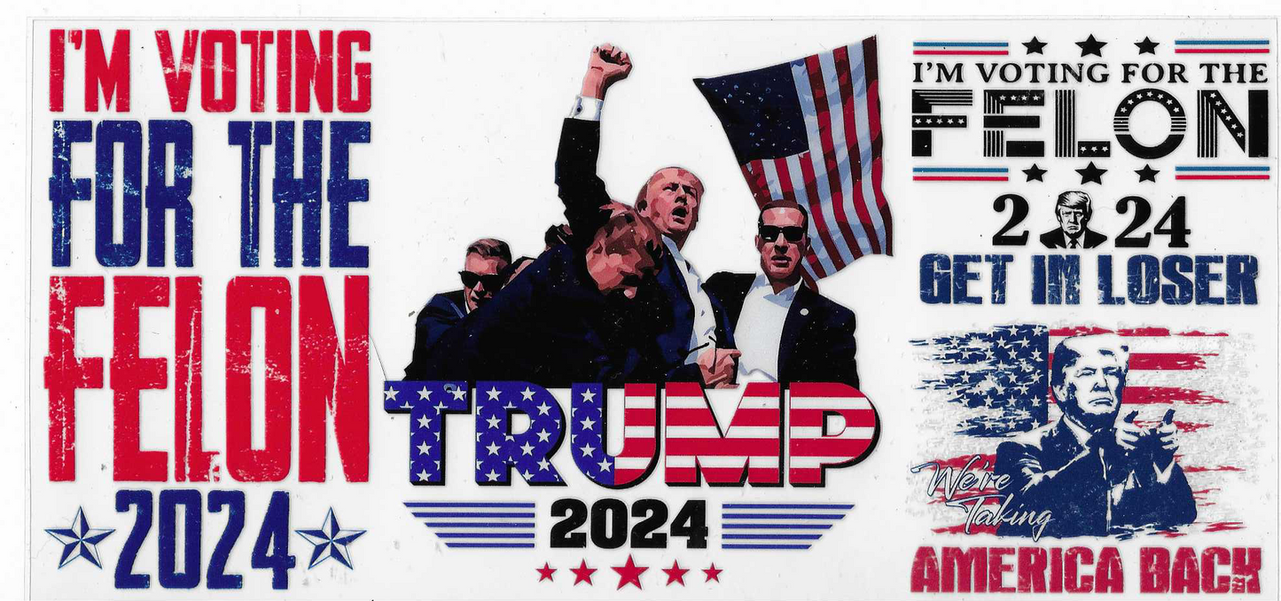 Trump I'm Voting For The Felon