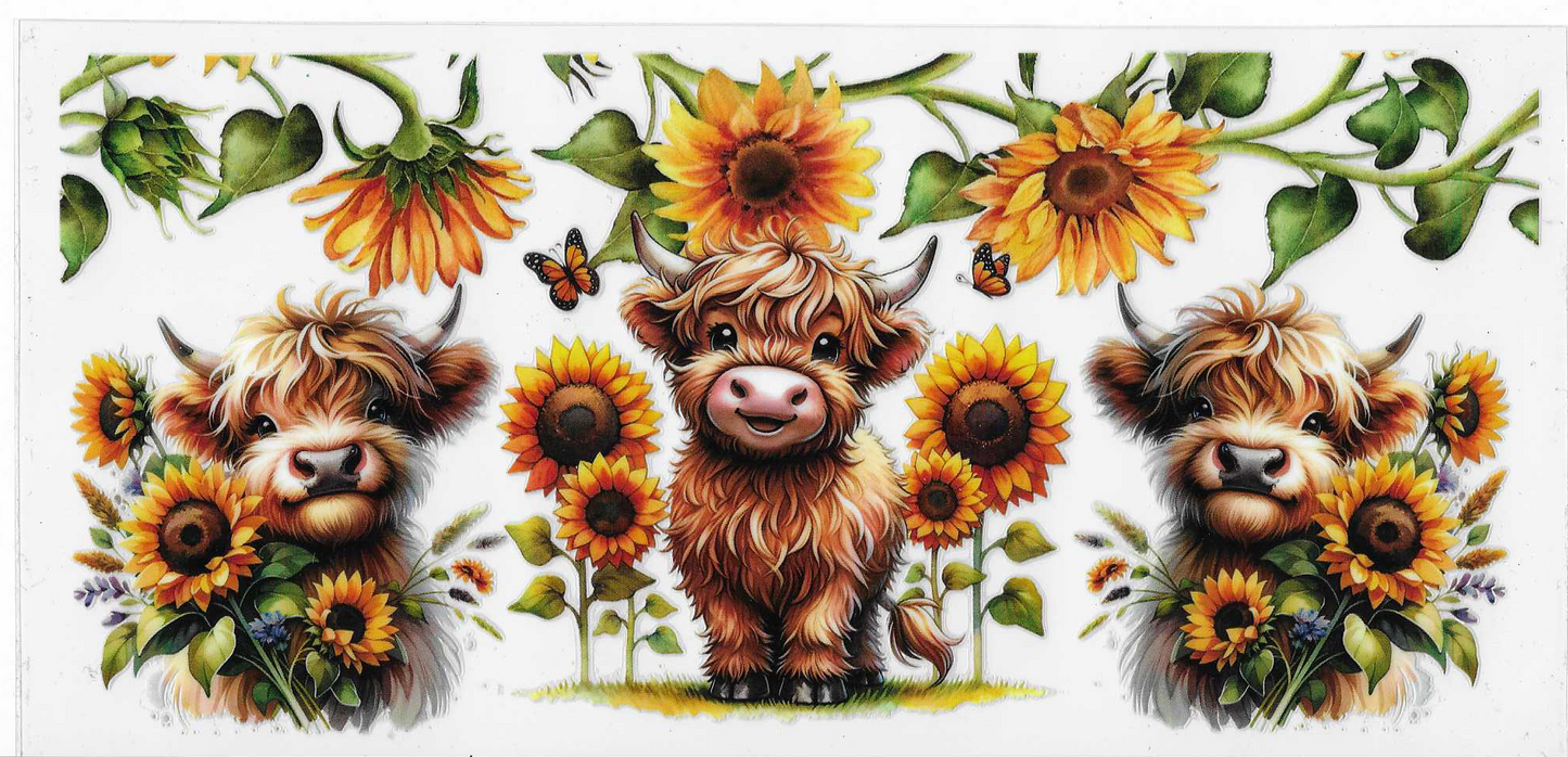 Sunflower & Cows