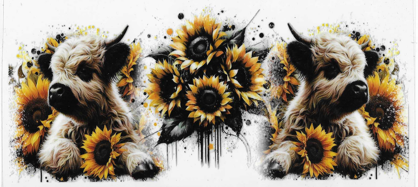 Cows With Sunflowers