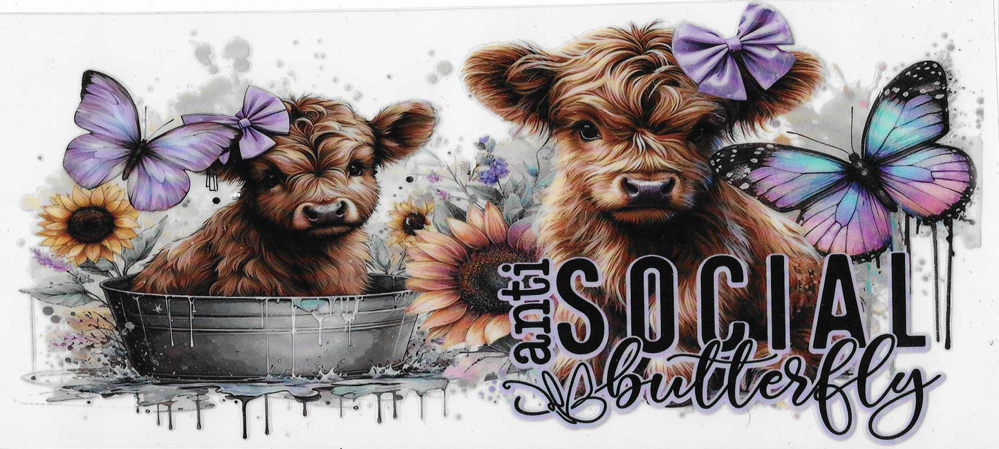 Anti-Social Butterfly Cow