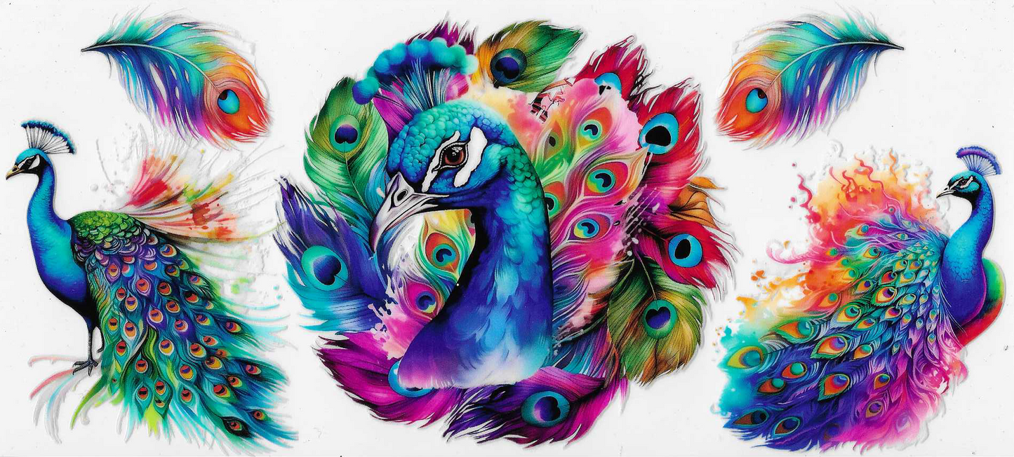 Peacock
