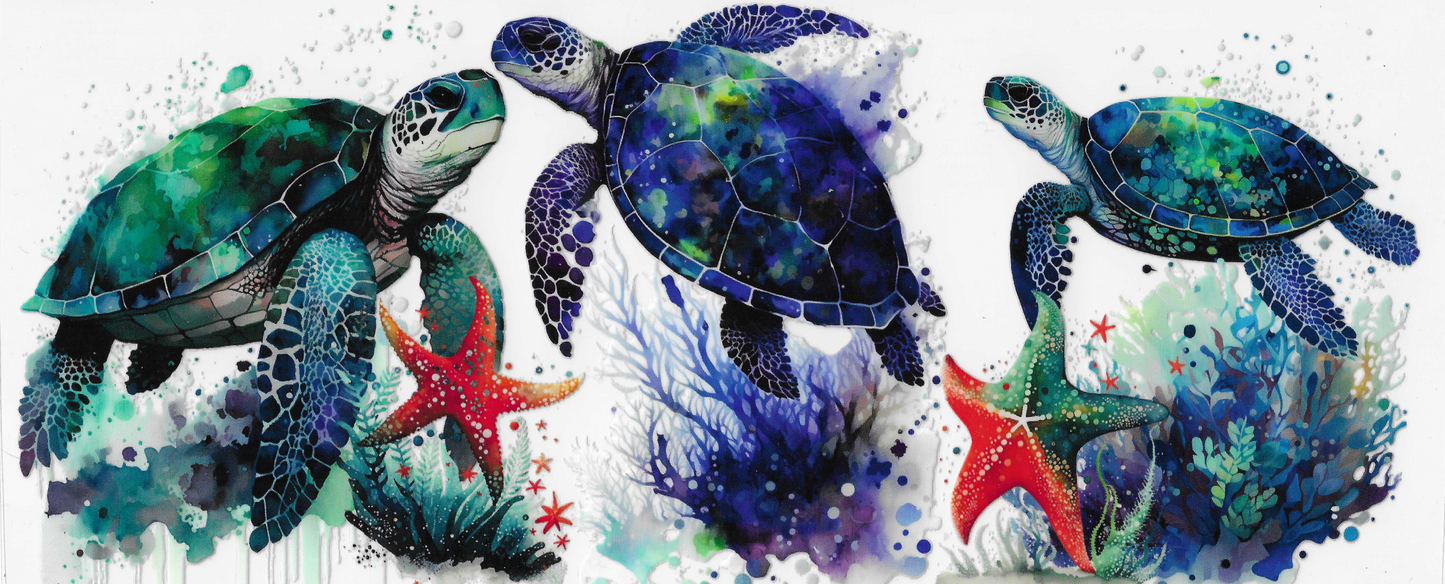 Sea Turtle