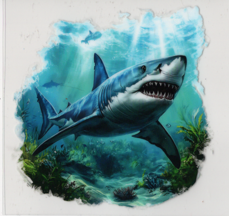 Shark