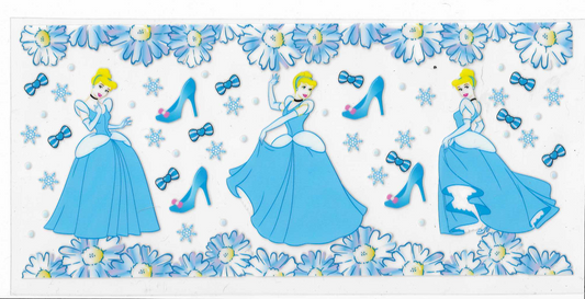 Cinderella & Slippers
