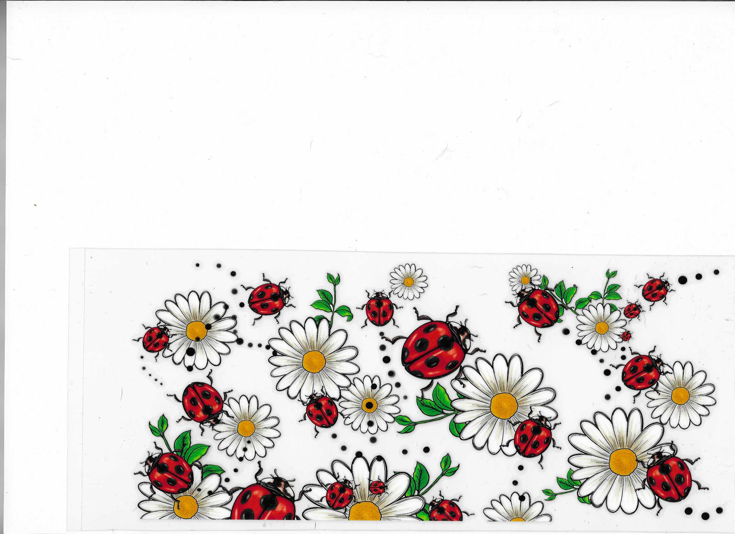 Lady Bugs & Daisies