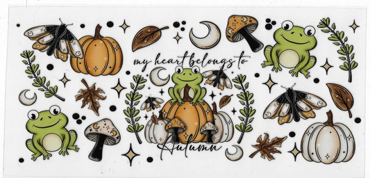 Fall Pumpkin’s