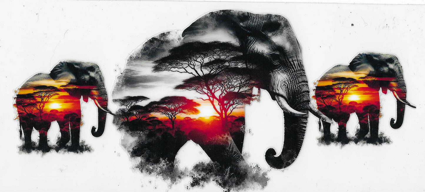 Elephant's