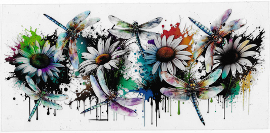Dragonflies & Daisies
