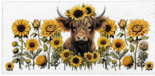 Sunflower's And Cow