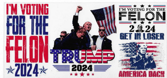 Trump I'm Voting For The Felon