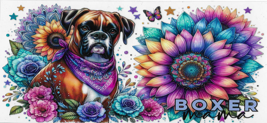 Boxer Mama