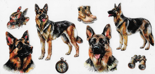 German Shepard