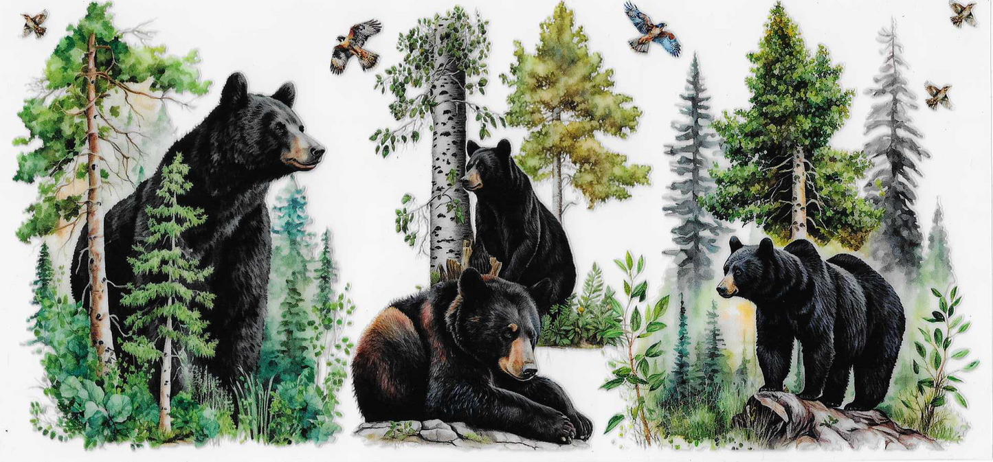Bears & Trees