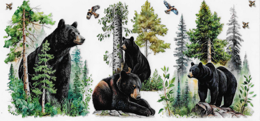 Bears & Trees