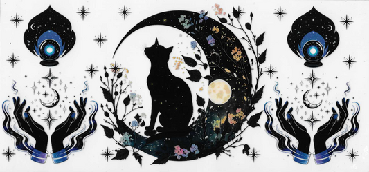 Moon & Cat