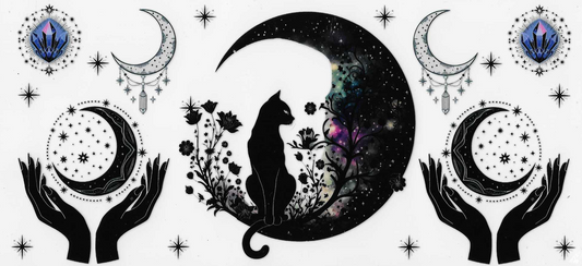 Moon & Cat