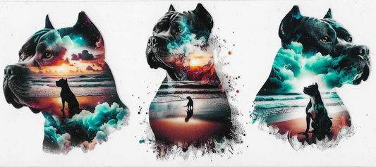 Pitbull Ocean