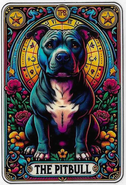 The Pitbull