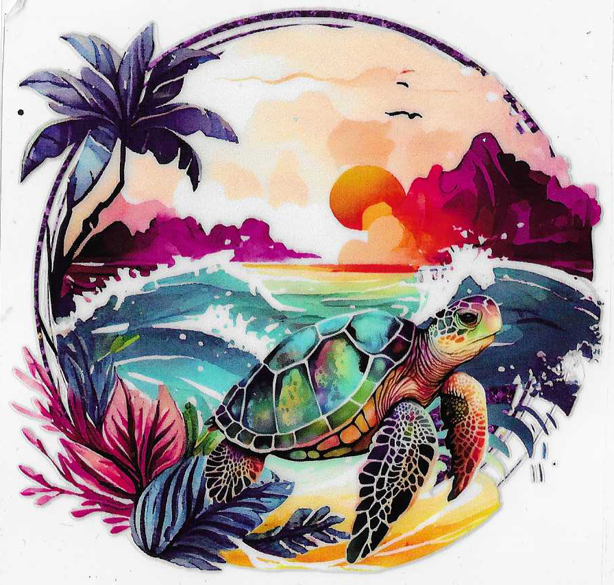 Sea Turtle