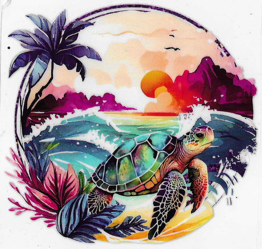 Sea Turtle
