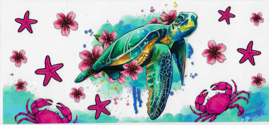 Sea Turtle