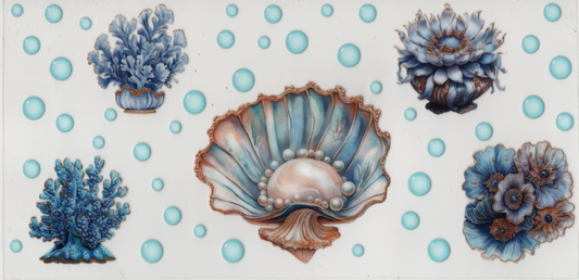 Shells