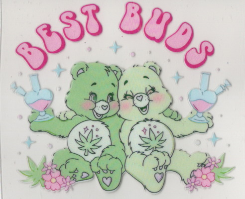 Care Bear Best Buds