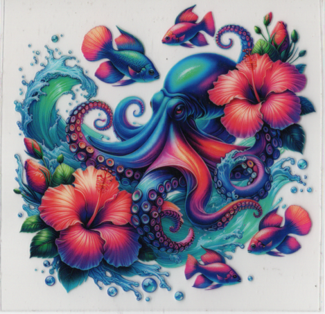 Jellyfish