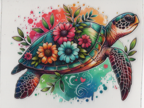 Turtle