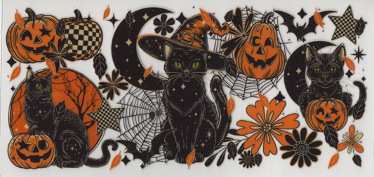 Halloween Black Cat